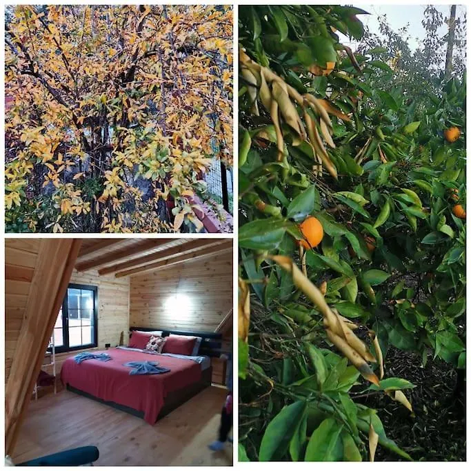 Vakantiehuis Aura Wooden House Villa Fethiye Turkije